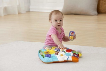 VTECH Sit To Stand Stroll &amp; Discover Activity Walker