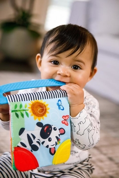 BABY EINSTEIN Curious Explorers Teether Book™