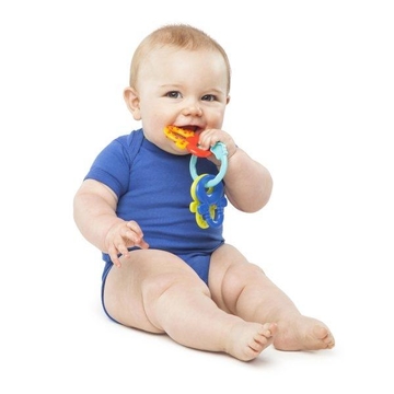 BRIGHT STARTS License to Drool™ Teether