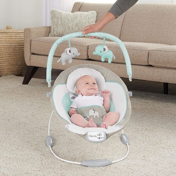 INGENUITY Whitaker Soothing Bouncer